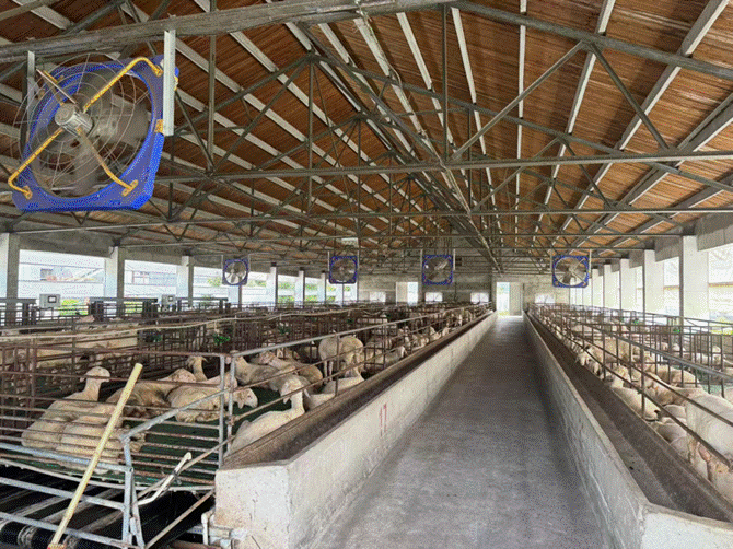 2025-07-17 08:18:24.432000