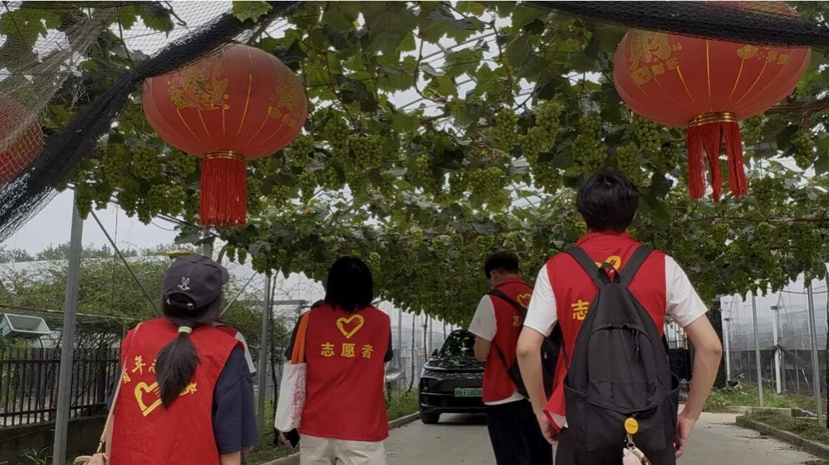 图为队员在葡萄园田间参观现场。施雨欣供图