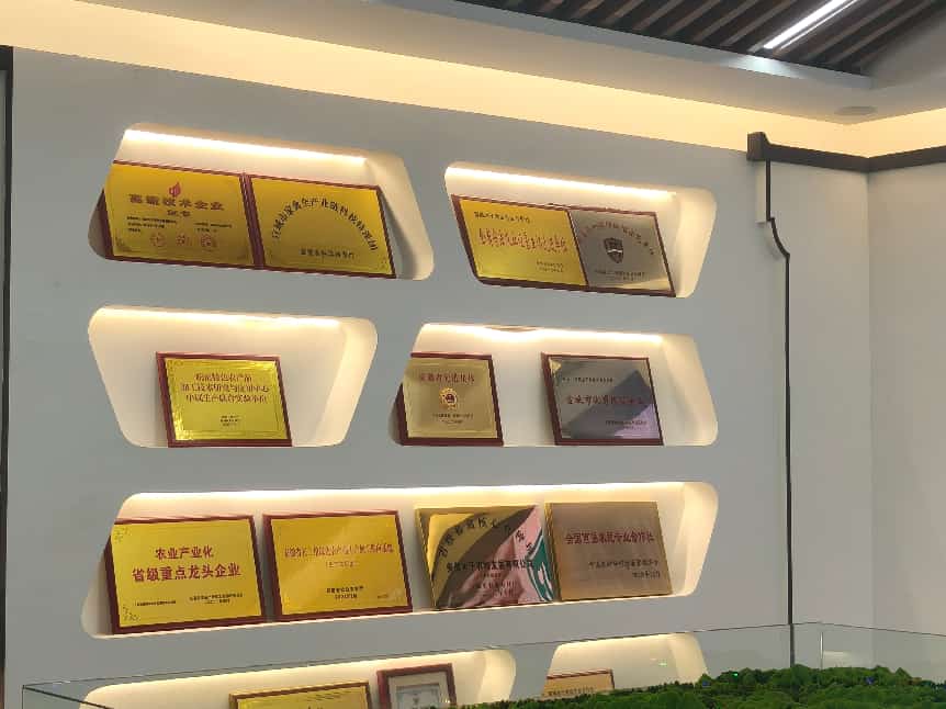 04图为木子禽业合作社荣誉资质展示墙。袁媛供图