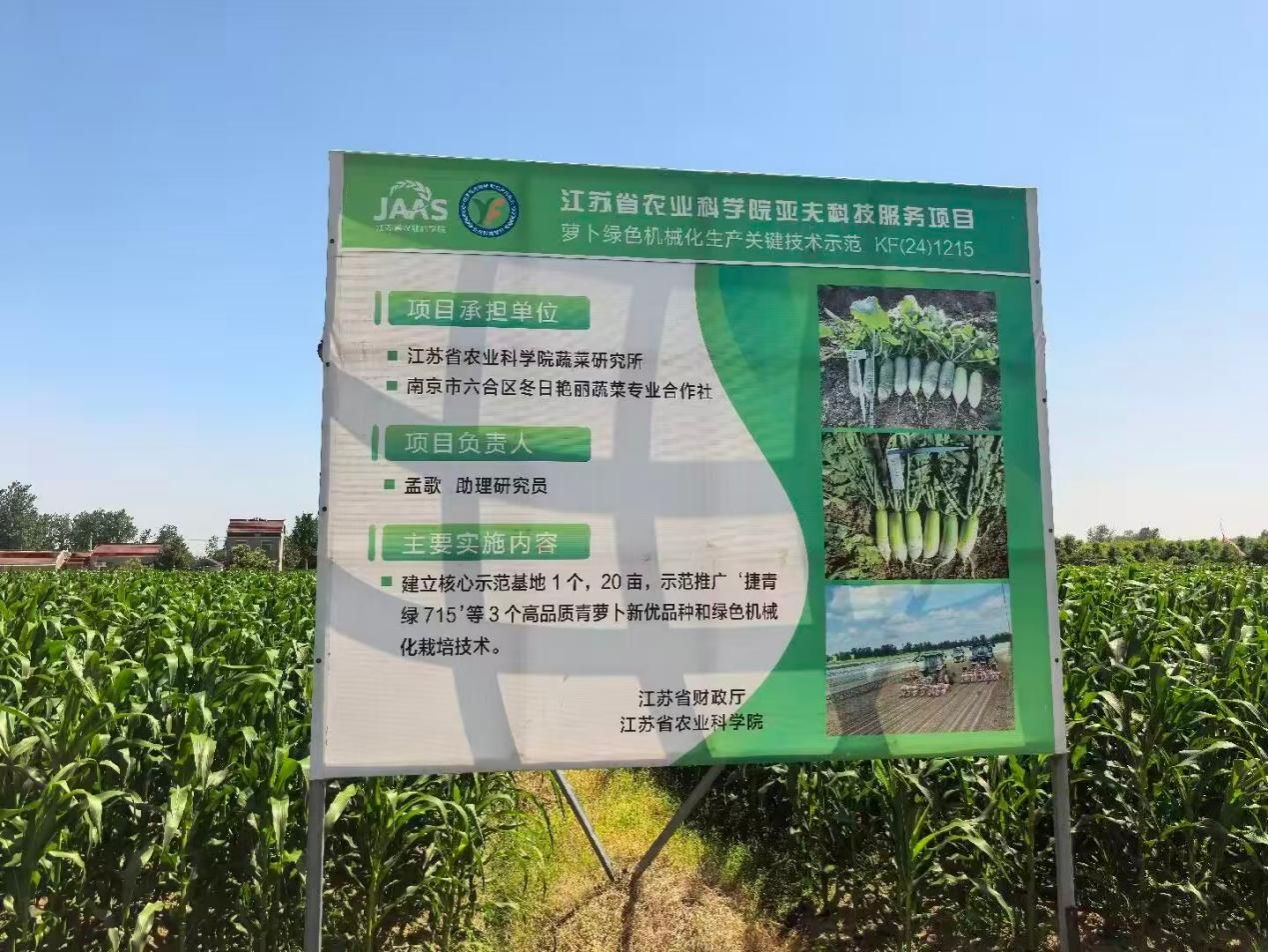11图为合作社项目简介。庄嘉欣供图