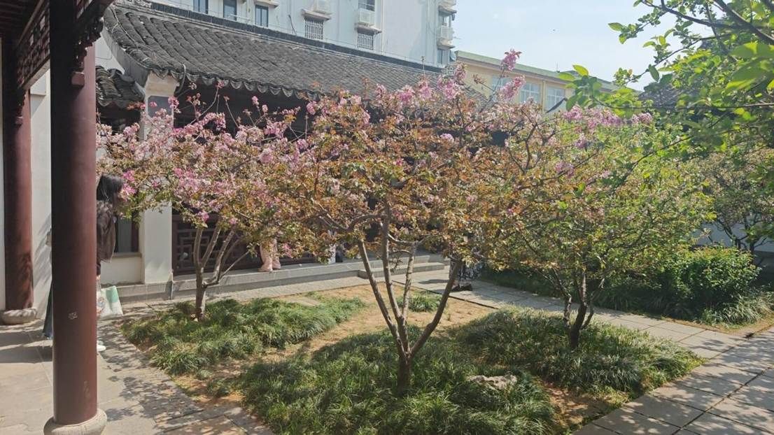 瞻园园林艺术景色  梅宇  供图