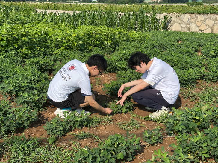 图为团队成员在连片良田边调研粮食生产情况