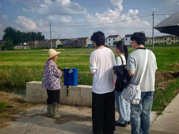 没有低保的奶奶