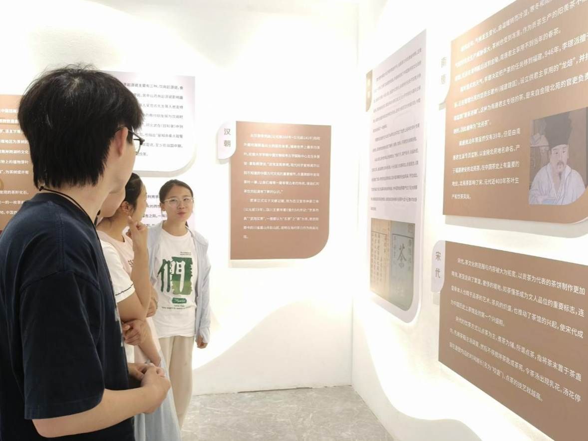 01图为团队成员参观茶文化历史脉络 (江科供图)