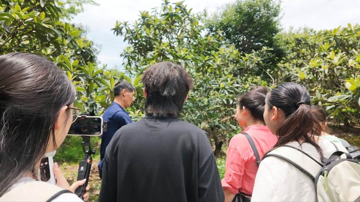 02图为团队成员实地调研茶树种植基地 (江科供图）