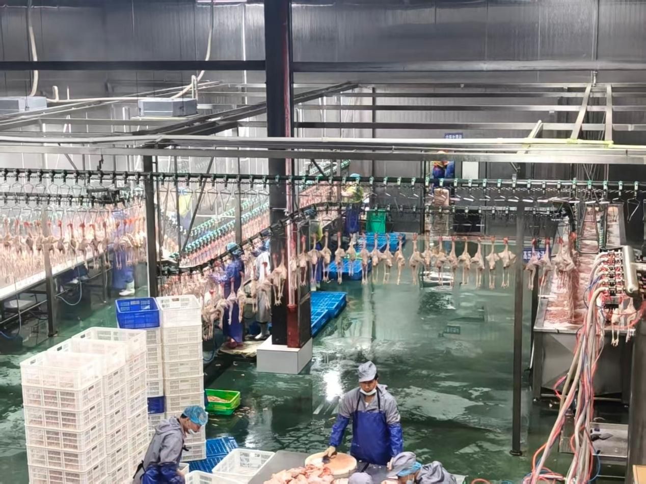 09图为加工车间。胡诗滢供图