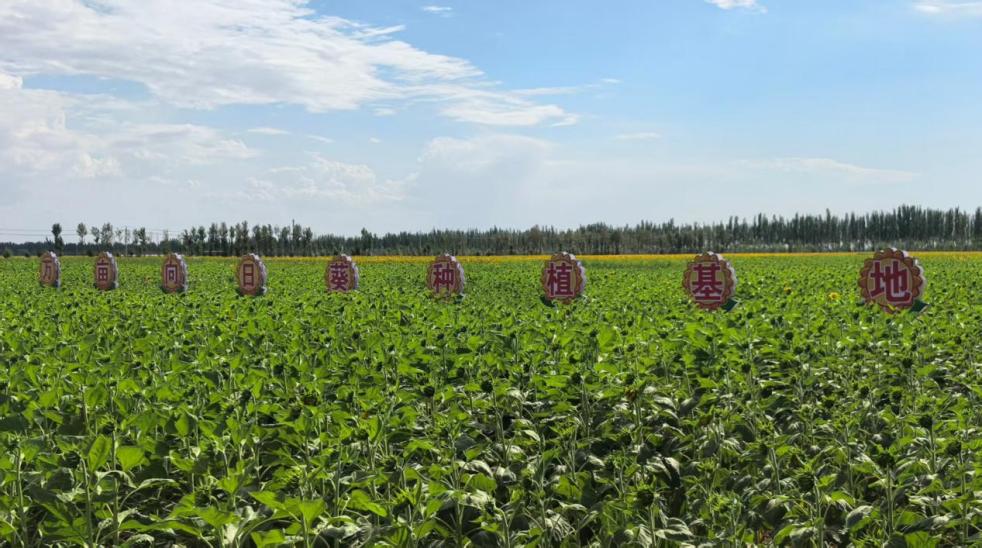 c3680fc154a0ac43f731800a20a17a2f