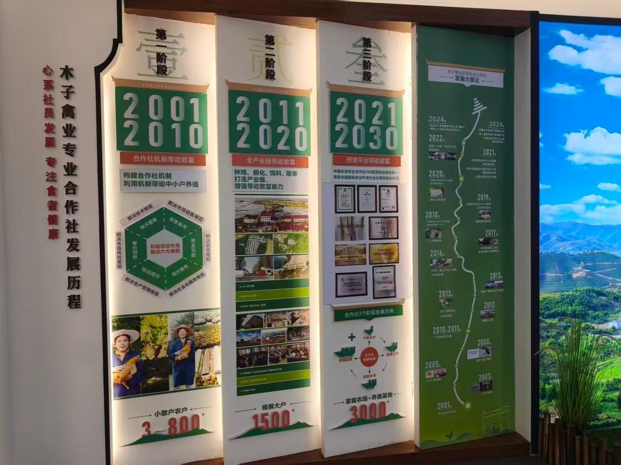 06图为木子禽业合作社发展历程展板。胡诗滢供图