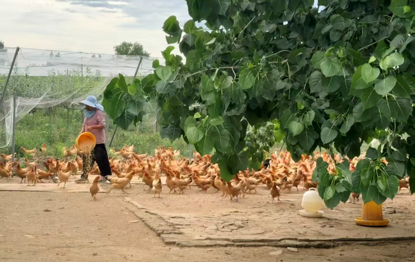 人们走在路上 AI 生成的内容可能不正确。