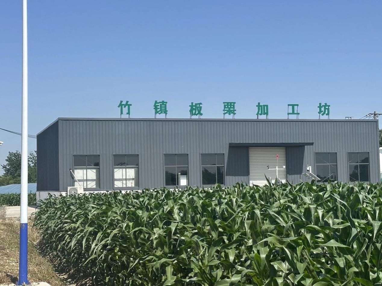 09图为竹镇板栗加工坊。艾思语供图