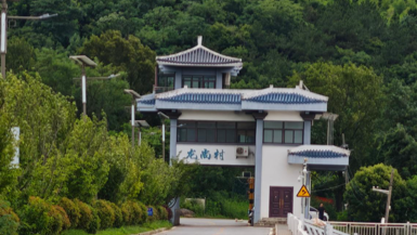 01活动现场 王心悦摄