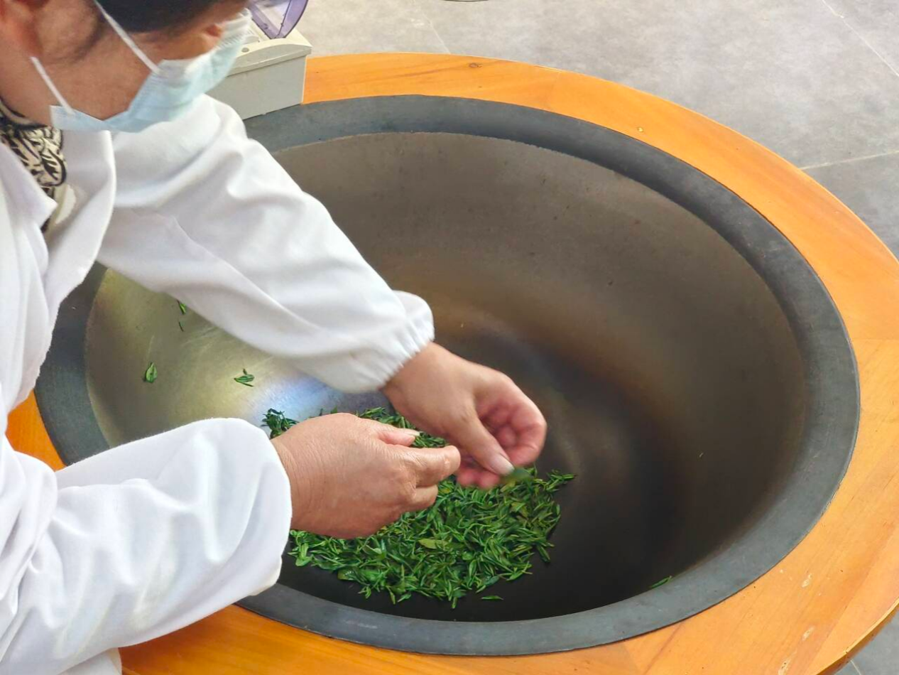 图为团队成员炒制茶叶 刘梓仪供图
